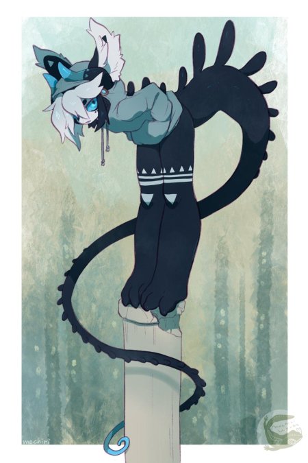 Mochiri furry
