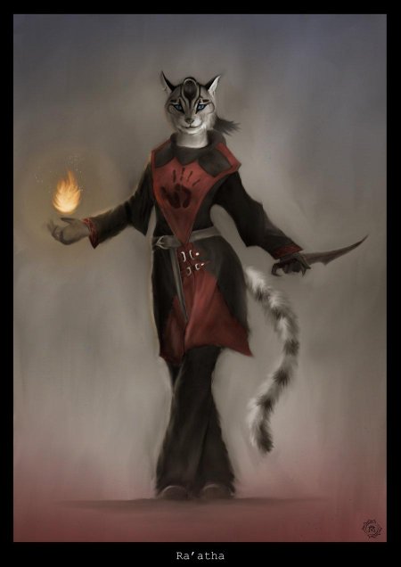 Скайрим каджит маг