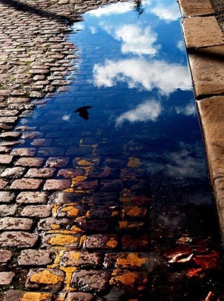 Отражение неба в луже