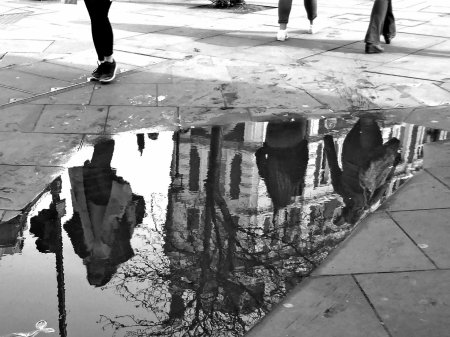 Отражение в луже