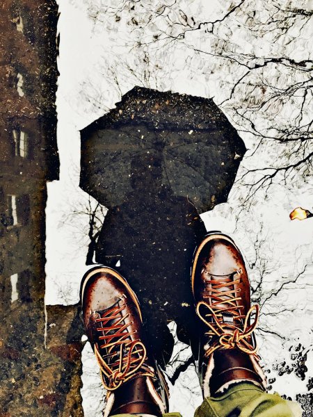 День отражений в лужах октября