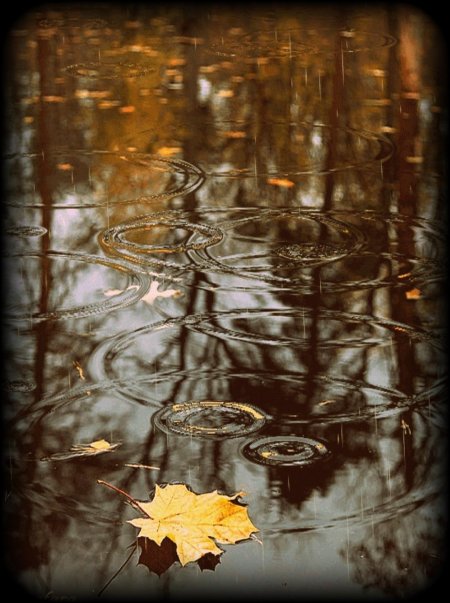 Дождь осенний