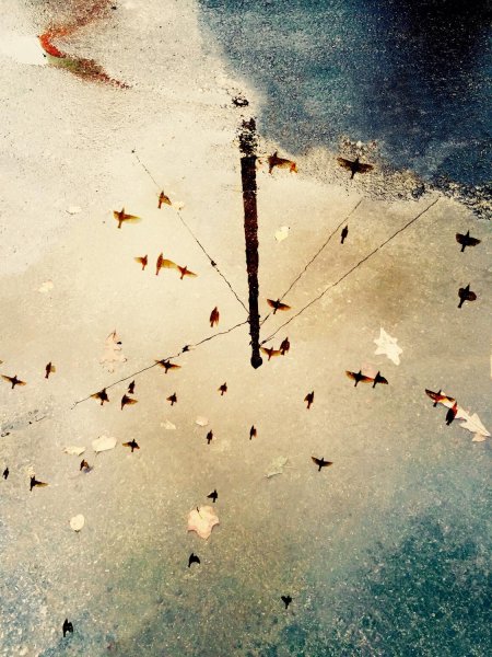 Отражение в луже