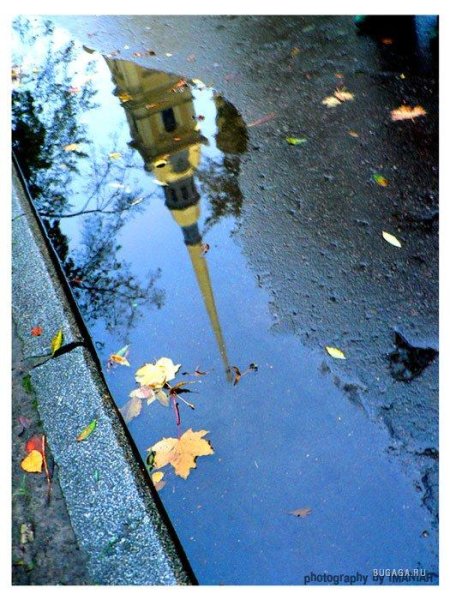 Отражение в луже осень
