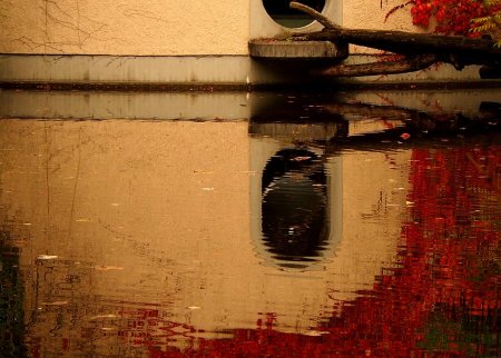 Отражение воды