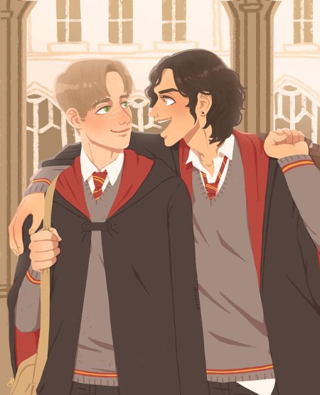 Сириус блэк и гарри поттер