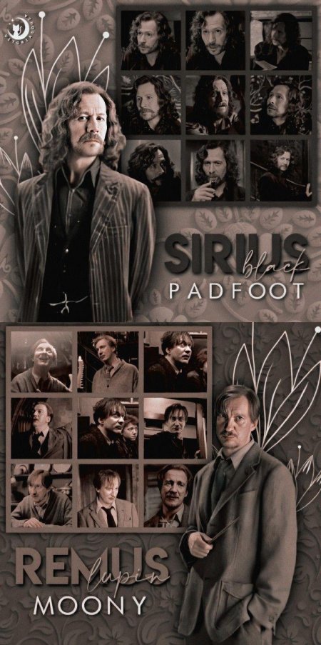 Римус люпин и сириус блэк