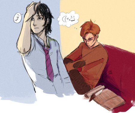 Сириус блэк и римус люпин джеймс поттер