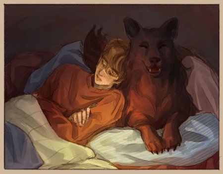 Сириус блэк анимаг