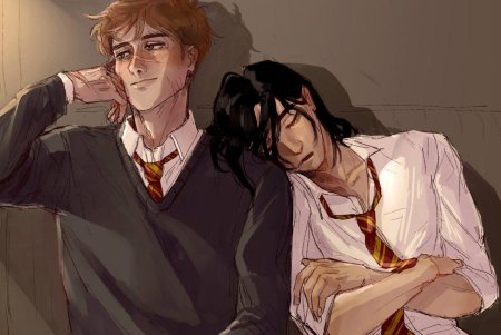 Джеймс поттер мародеры