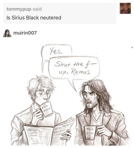 Гарри поттер и сириус блэк