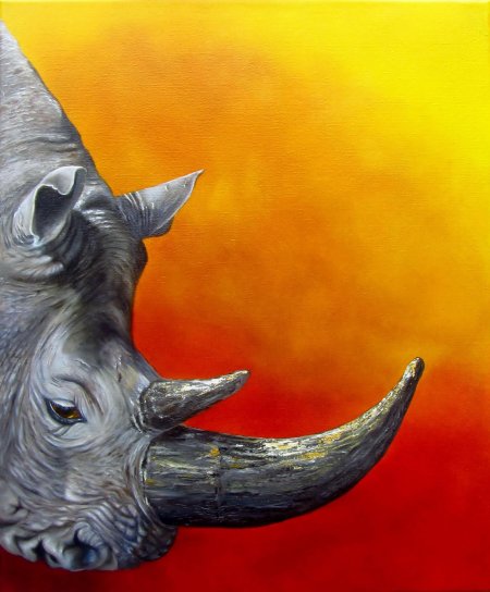 Носорог арт