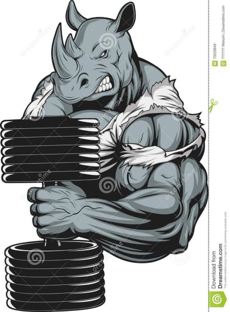 Медведь качок