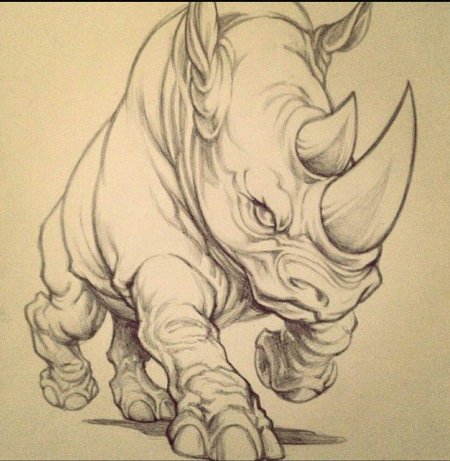 Носорог набросок