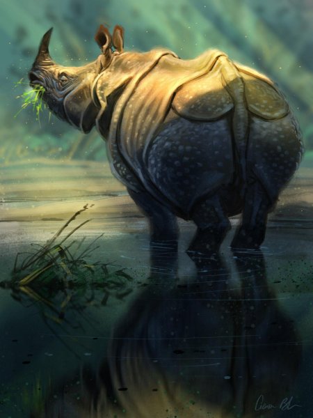 Носорог арт
