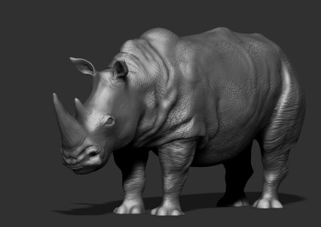 Риноцерос д