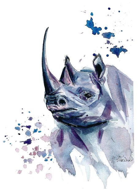 Носорог акварелью