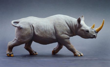Белый носорог collecta