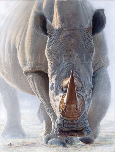 Носорог маслом