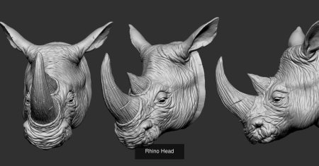 Голова носорога