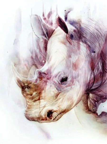 Сальвадор дали картины носорог