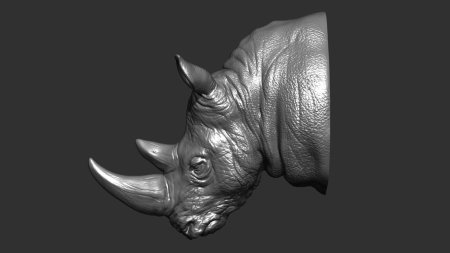 Rhino head