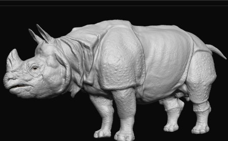 Rhinoceros модели