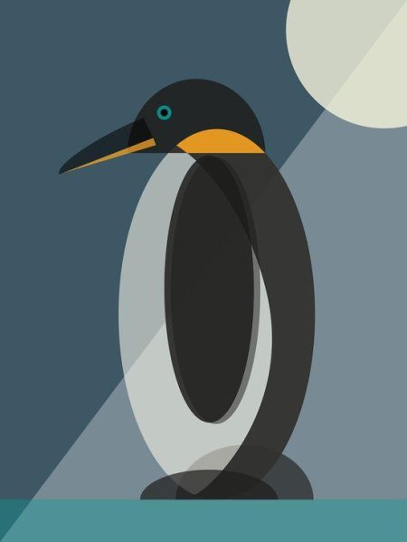 Пингвины пингвин