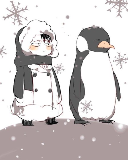 Аниме пингвин аниме пингвин