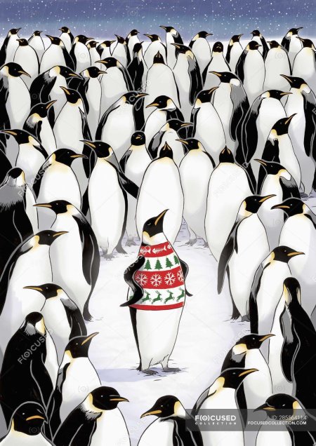 Белые пингвины