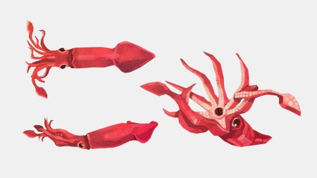 Игра в кальмара игра