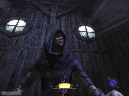 Thief: deadly shadows / thief 3: тень смерти