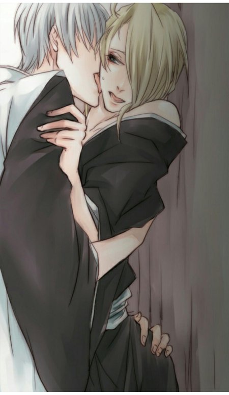 Гин ичимару и кира изуру