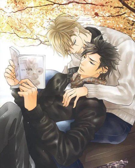 Яой сенен ай