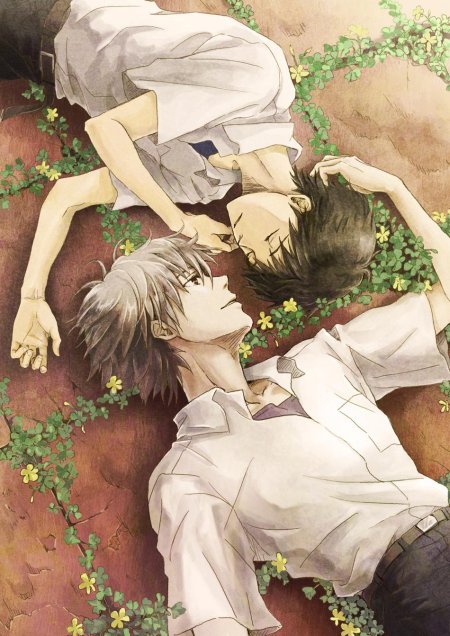 Каору и синдзи