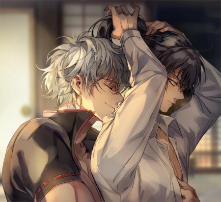 Гинтоки саката и хиджиката