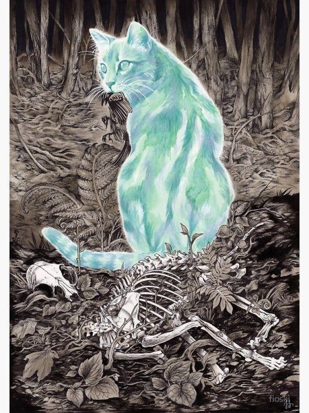 Зеленый кот варна