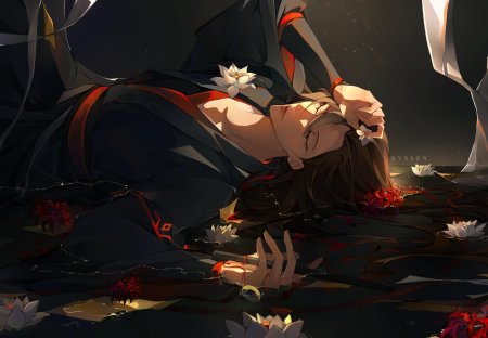 Магистр дьявольского культа вэй усянь