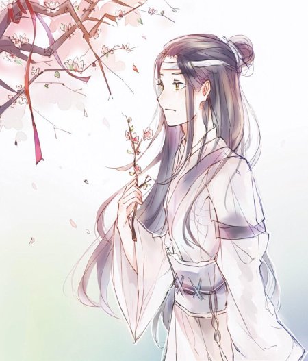 Магистр дьявольского культа лань ван цзи