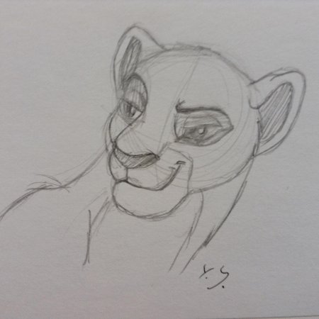 Рисунки карандашом король лев