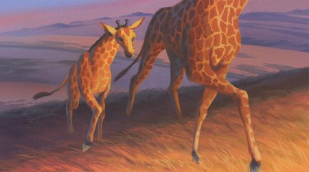 Жираф картина