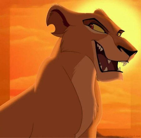 Зира король лев