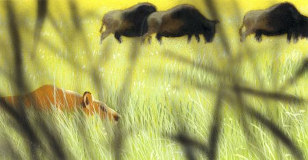 Картины животные