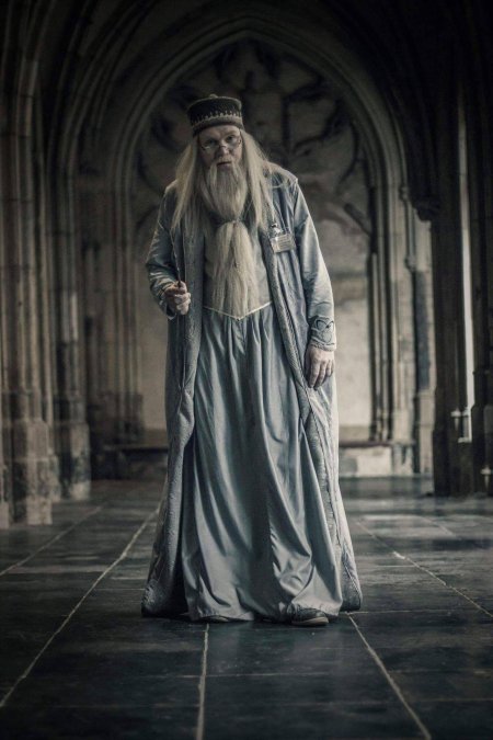 Альбус персиваль вульфрик брайан дамблдор