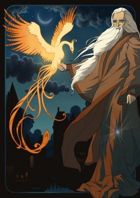 Феникс гарри поттер