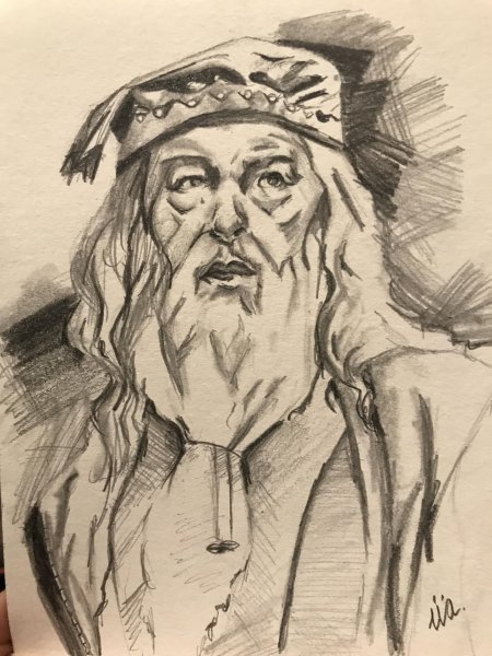 Альбус дамблдор портрет