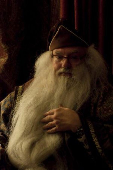 Альбус персиваль вульфрик брайн дамблдор