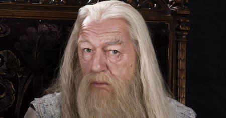 Майкл гэмбон гарри поттер