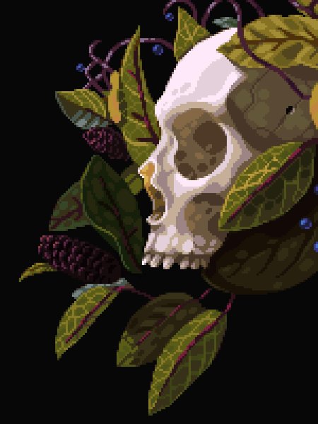 Черепа с цветами