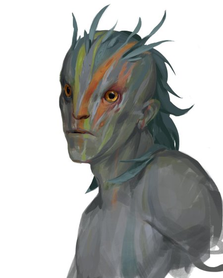 Шарсу раса арт